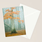 Autumn Woods Stationery Card Gallery Image 2