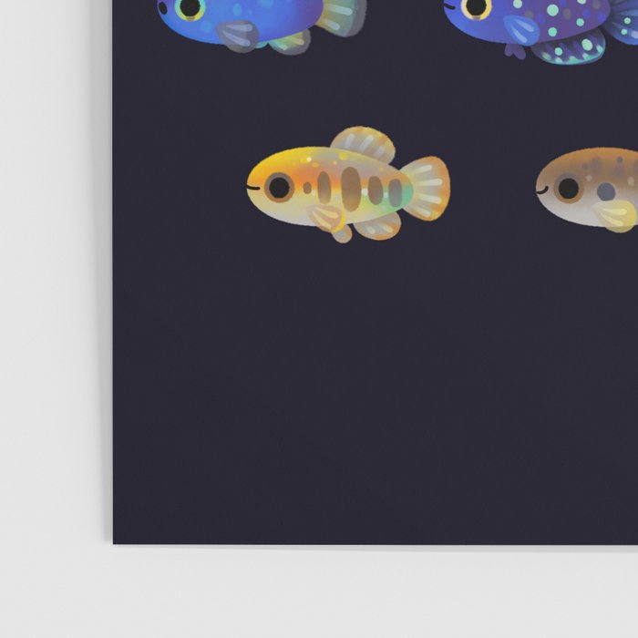 Killifish! Poster Gallery Image 3
