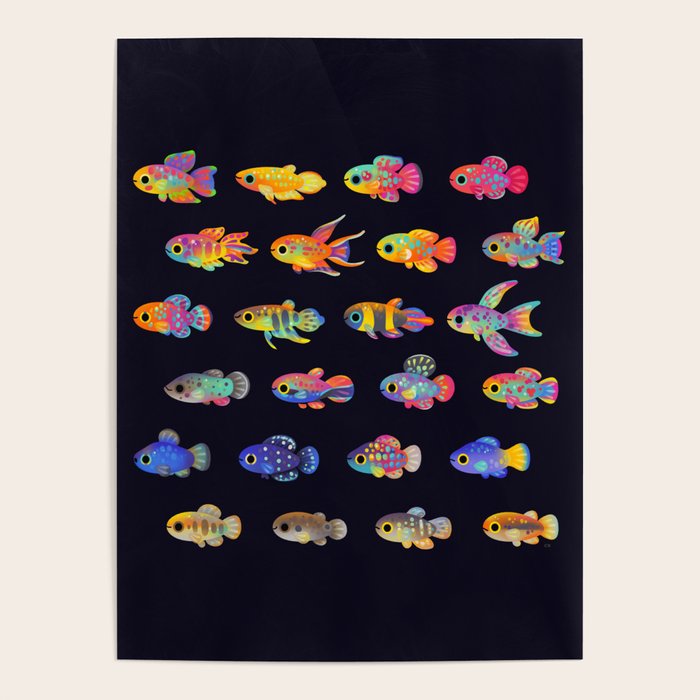 Killifish! Poster Gallery Image 4