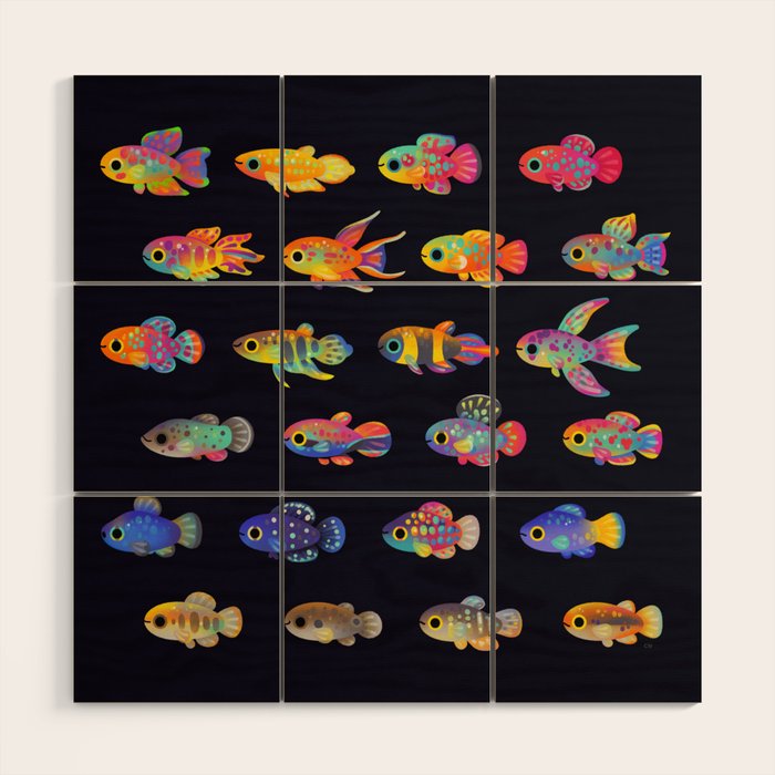 Killifish! Wood Wall Art Gallery Image 1