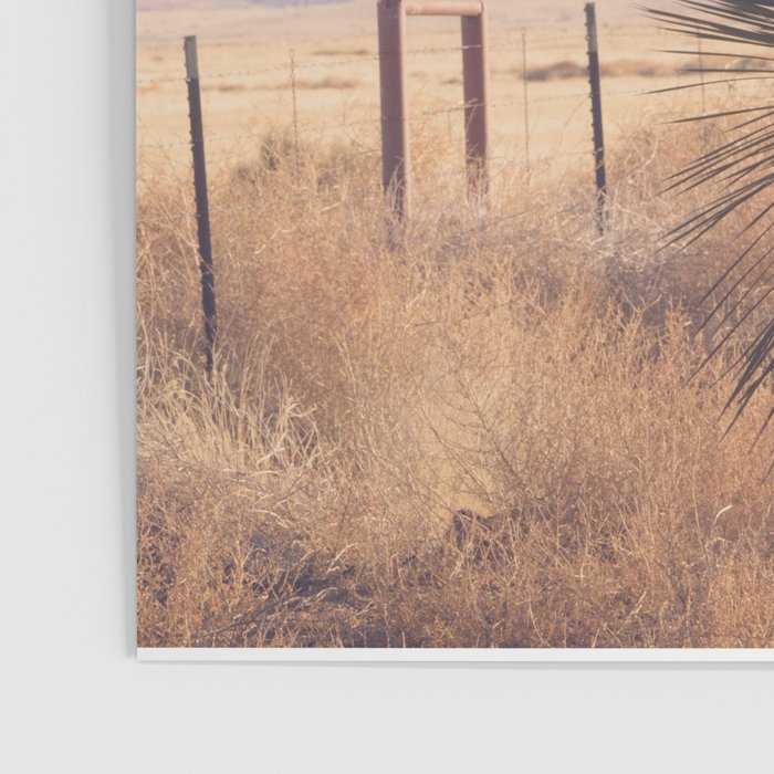 Marfa Morning Light Poster Gallery Image 3