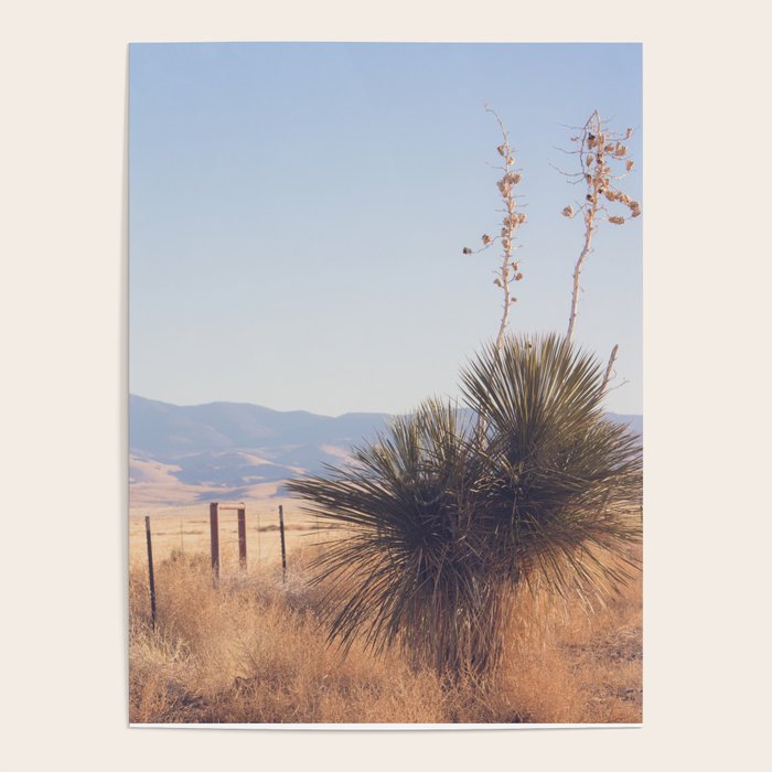 Marfa Morning Light Poster Gallery Image 4
