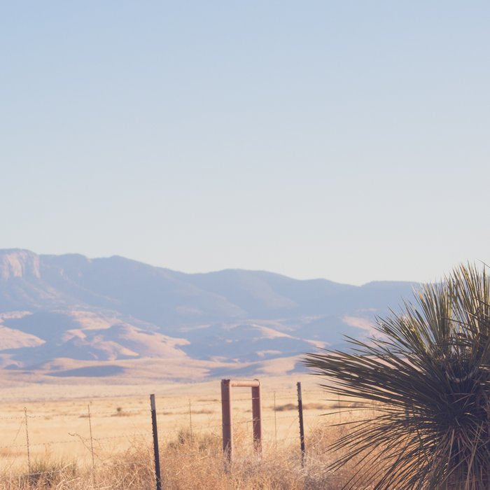 Marfa Morning Light Coffee Mug Gallery Image 2