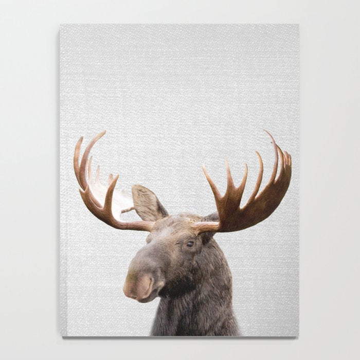 Moose - Colorful Notebook Gallery Image 4