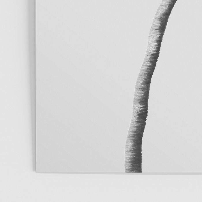 Grey Palm Tree Poster Gallery Image 3