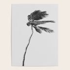 Grey Palm Tree Poster Gallery Image 4