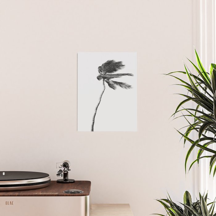 Grey Palm Tree Poster Gallery Image 2