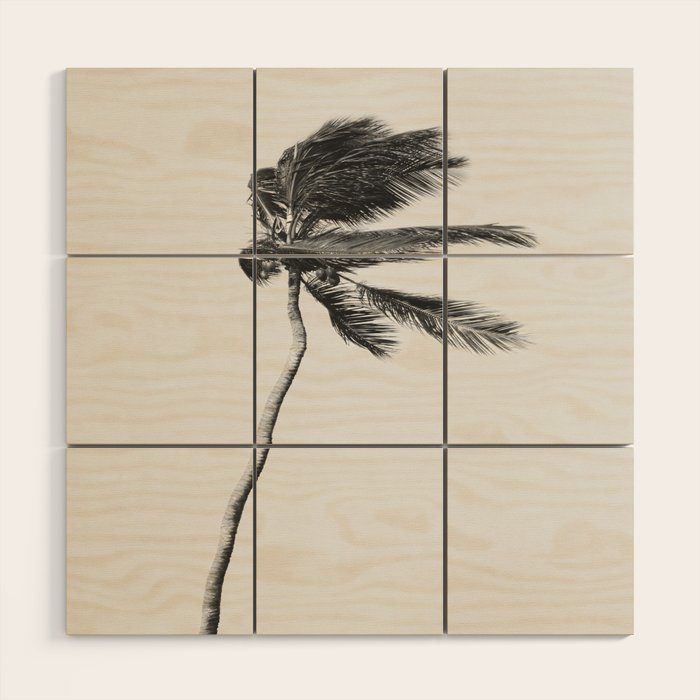Grey Palm Tree Wood Wall Art Gallery Image 1