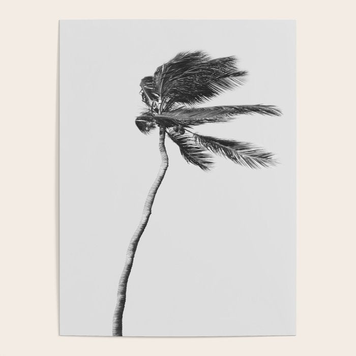Grey Palm Tree Poster Gallery Image 1