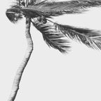 Grey Palm Tree Coffee Mug Gallery Image 2