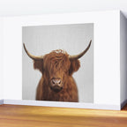 Highland Cow - Colorful Wall Mural Gallery Image 2