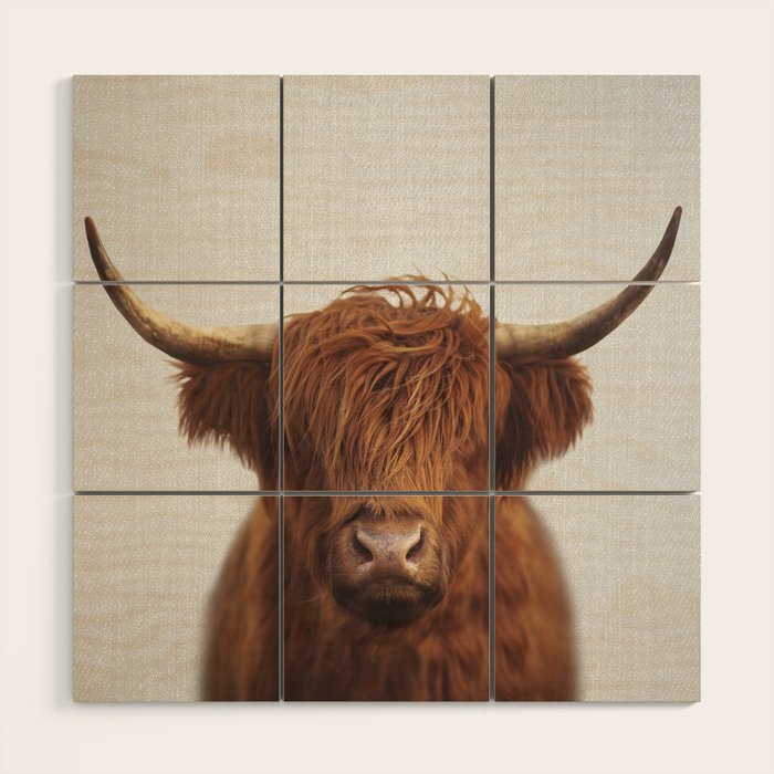 Highland Cow - Colorful Wood Wall Art Gallery Image 1