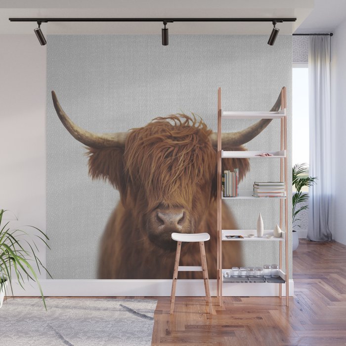 Highland Cow - Colorful Wall Mural Gallery Image 1