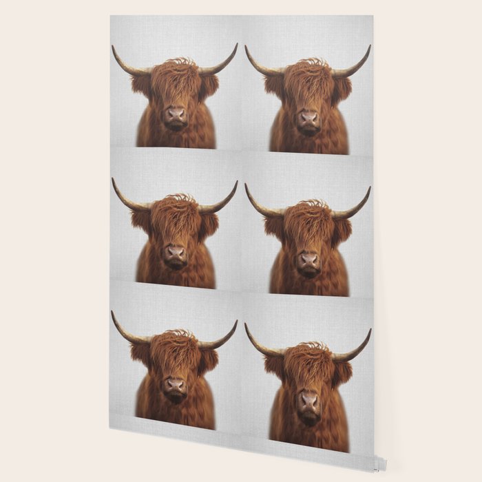Highland Cow - Colorful Wallpaper Gallery Image 2