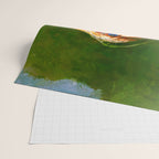 Among the Tall Grass Wrapping Paper Gallery Image 2