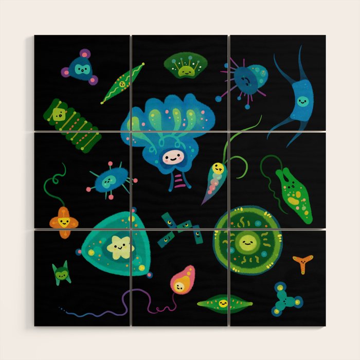 Phytoplankton Wood Wall Art Gallery Image 1