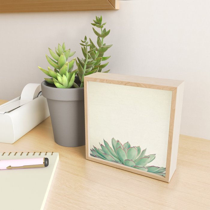 Echeveria Mini Art Print Gallery Image 2