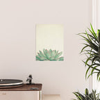 Echeveria Poster Gallery Image 2