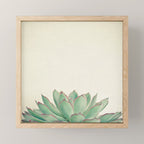 Echeveria Mini Art Print Gallery Image 1