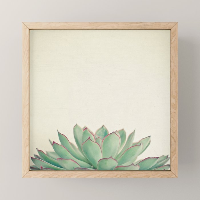 Echeveria Mini Art Print Gallery Image 1