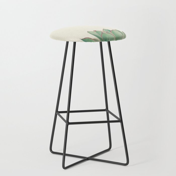 Echeveria Stool Gallery Image 1