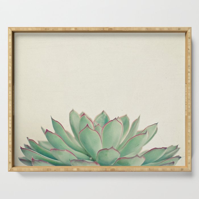 Echeveria Serving Tray Gallery Image 1
