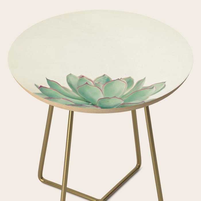 Echeveria Side Table Gallery Image 2