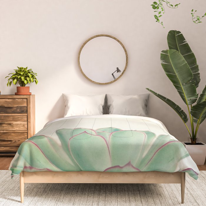 Echeveria Comforter Gallery Image 3
