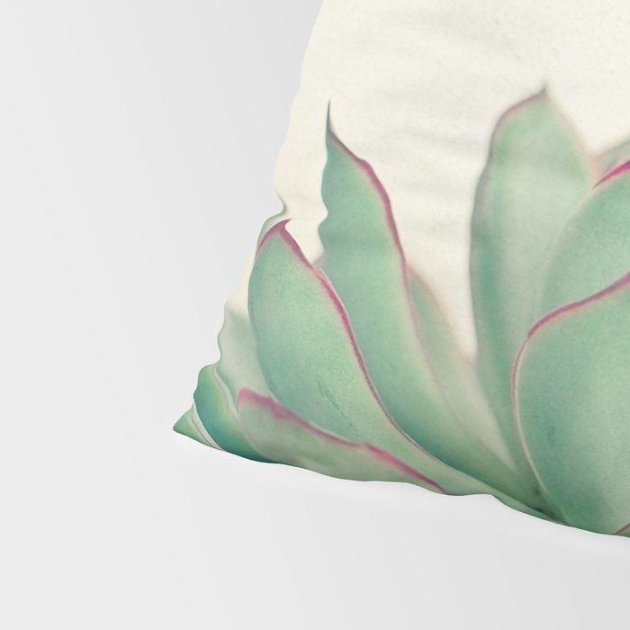 Echeveria Pillow Sham Gallery Image 4