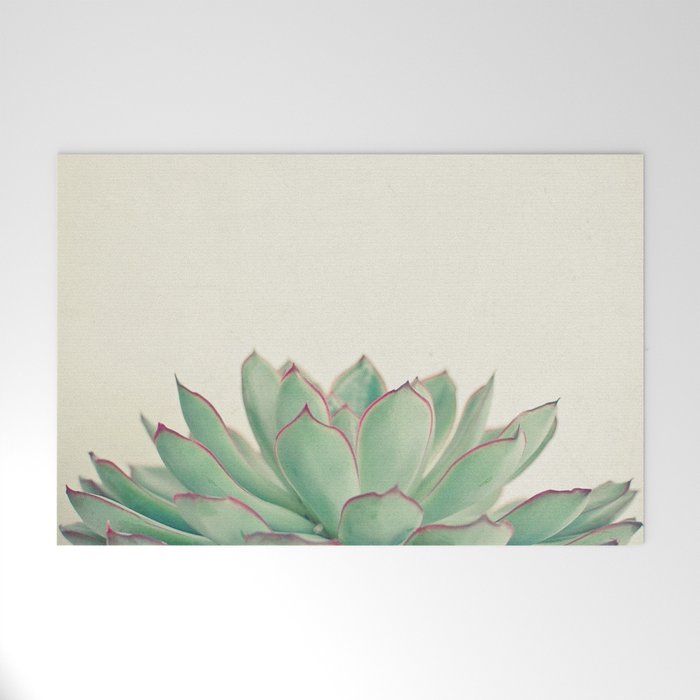 Echeveria Welcome Mat Gallery Image 1