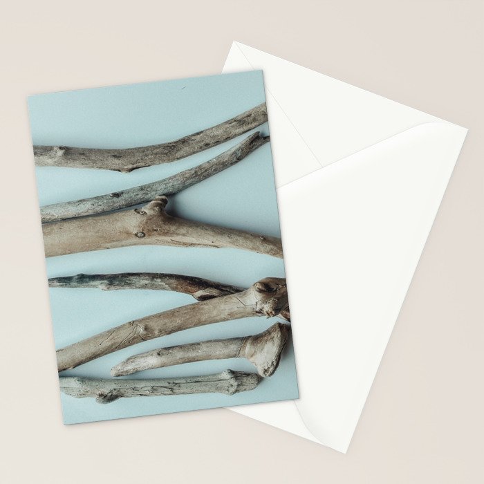 Beach Driftwood x Minimalist still life photograph Stationery Card Gallery Image 2