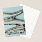 Beach Driftwood x Minimalist still life photograph Stationery Card Gallery Image 2