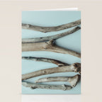 Beach Driftwood x Minimalist still life photograph Stationery Card Gallery Image 2