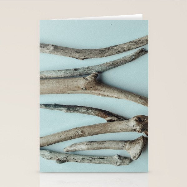 Beach Driftwood x Minimalist still life photograph Stationery Card Gallery Image 2
