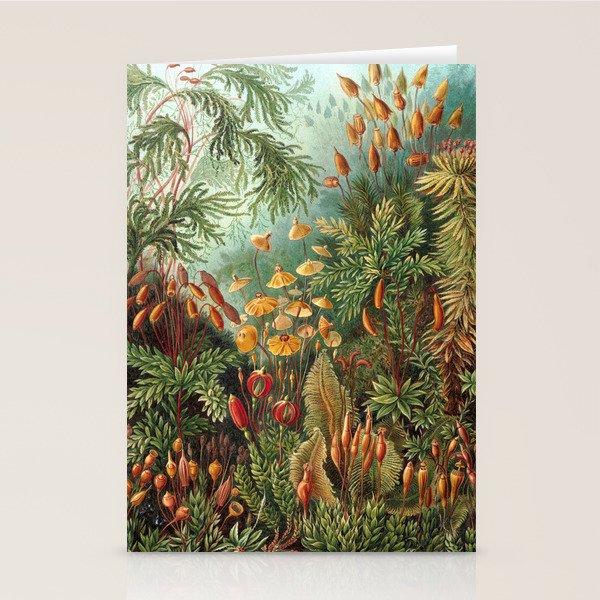 Ernst Haeckel Muscinae Microscopic Landscape Stationery Card Gallery Image 2