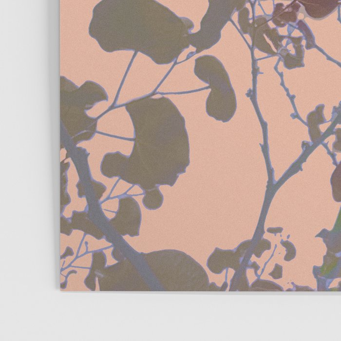 Whipped Peach Redbud Tree Poster Gallery Image 3