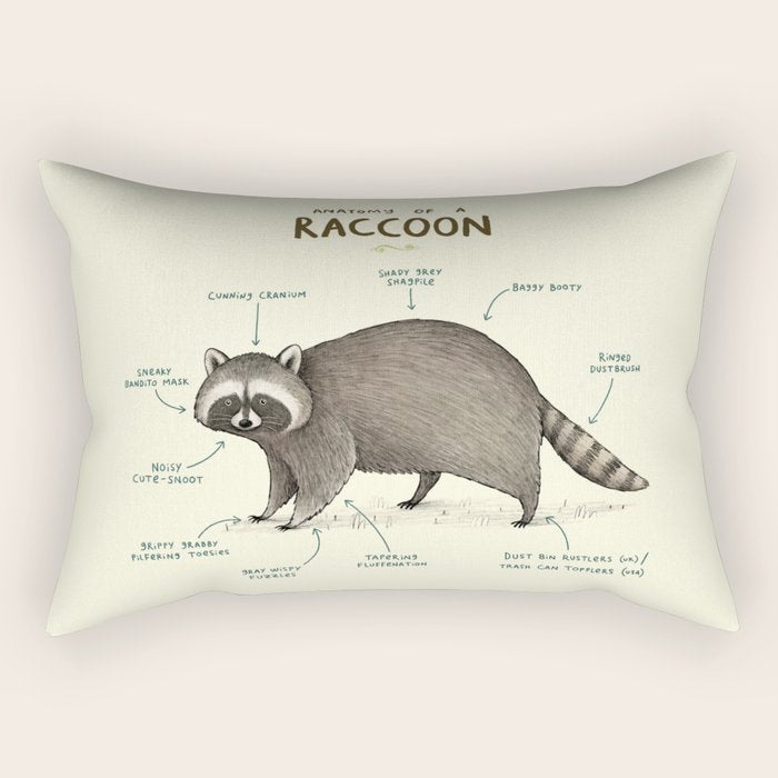 Anatomy of a Raccoon Rectangular Pillow Gallery Image 2