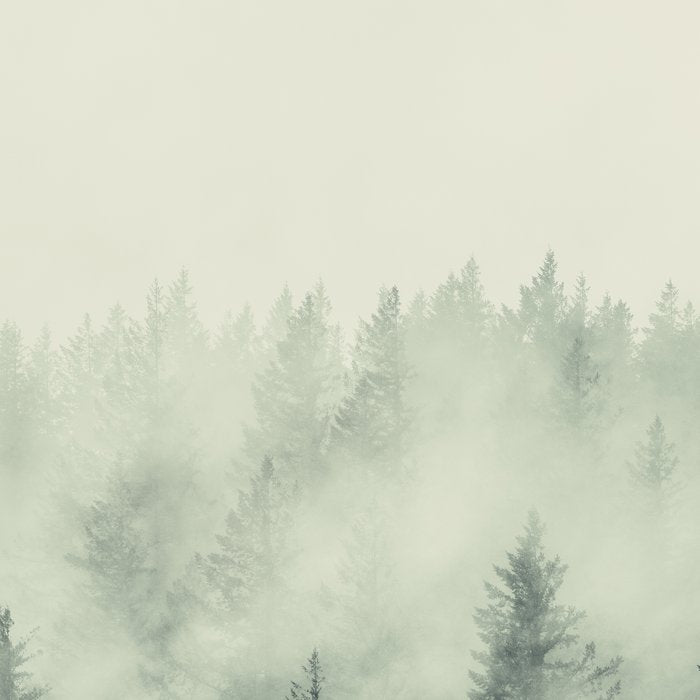 Forest Green - Pacific Northwest Forest Coffee Mug Gallery Image 2