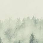 Forest Green - Pacific Northwest Forest Coffee Mug Gallery Image 2