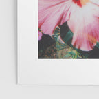 hibiscus lilly | double exposure Poster Gallery Image 3