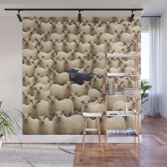 Black Sheep Wall Mural Gallery Image 1