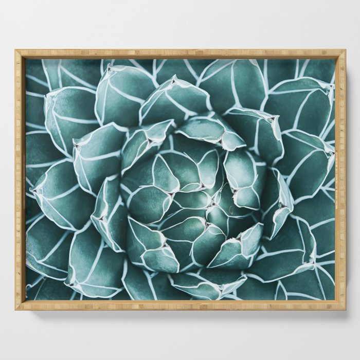 Succulent bloom Serving Tray Gallery Image 1