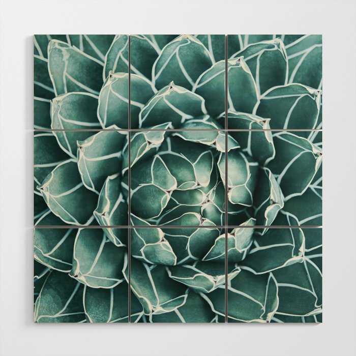 Succulent bloom Wood Wall Art Gallery Image 1