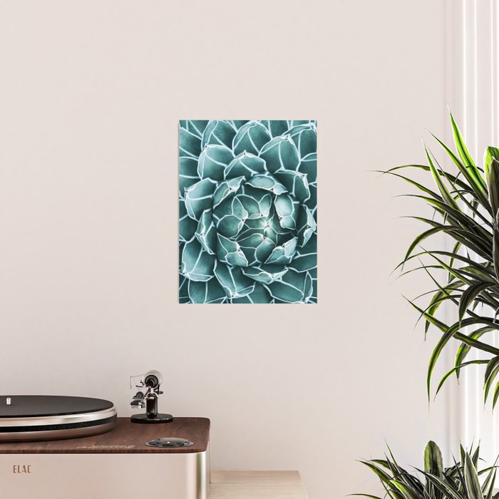 Succulent bloom Poster Gallery Image 2