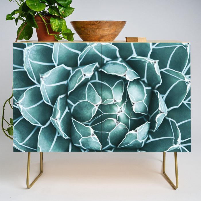 Succulent bloom Credenza Gallery Image 1