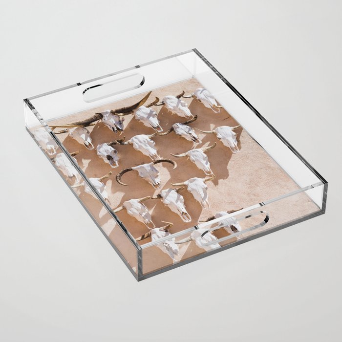 Cow Skulls Adobe - West Texas Photography Acrylic Tray Gallery Image 1