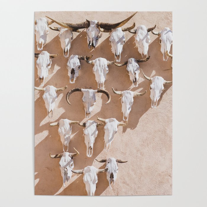 Cow Skulls Adobe - West Texas Photography Poster Gallery Image 1