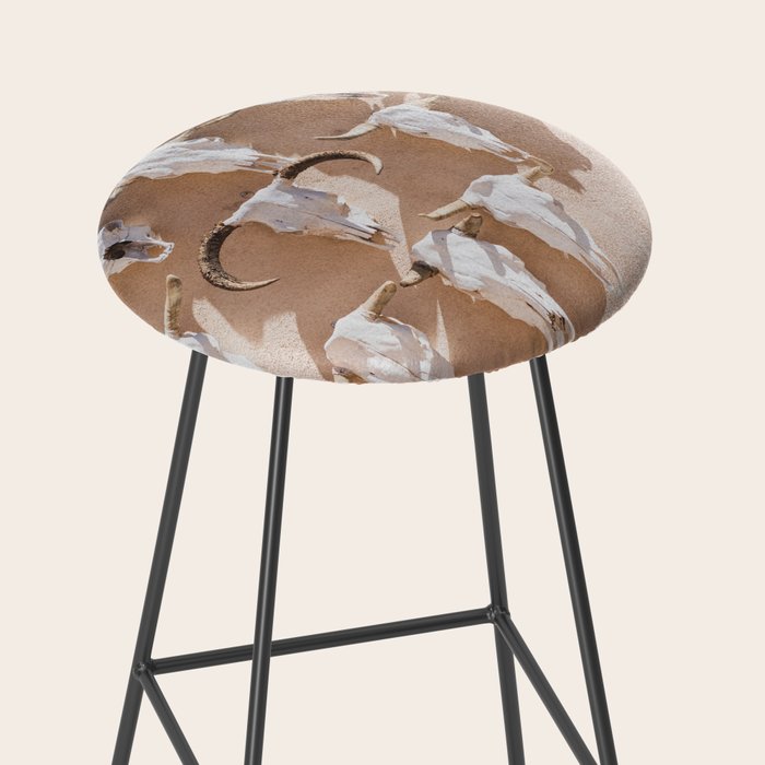 Cow Skulls Adobe - West Texas Photography Stool Gallery Image 2