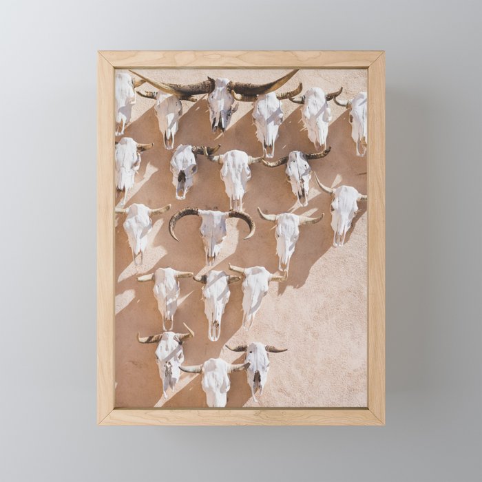 Cow Skulls Adobe - West Texas Photography Mini Art Print Gallery Image 1