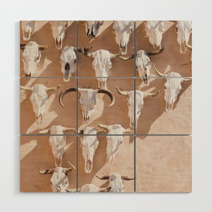 Cow Skulls Adobe - West Texas Photography Wood Wall Art Gallery Image 1